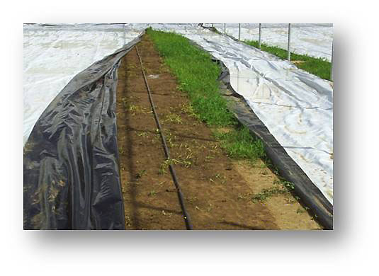 cubierta para pisos PDEE